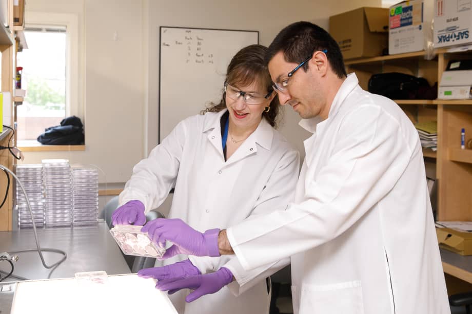 Crafting a Winning PhD Research Proposal: From Concept to Submission